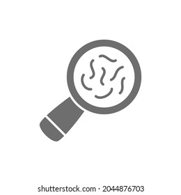 Vector bacteria under magnifying glass grey icon.