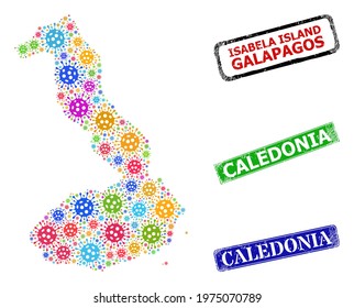 Vector bacterium collage Isabela Island of Galapagos map, and grunge Caledonia seal stamps. Vector colorful Isabela Island of Galapagos map collage,