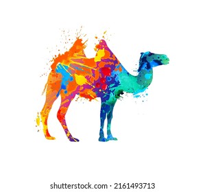 Vector bactrian camel silhouette of splash paint
