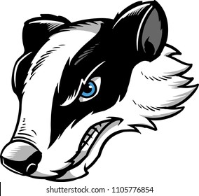 Vector of a badger.