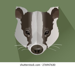 vector badger portrait.