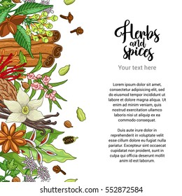 Vector bakery card design with spices and herbs. Decorative colorful background with type design. Seamless border with text template