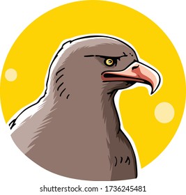 Vector Bald Eagle or Hawk Head Mascot Graphic