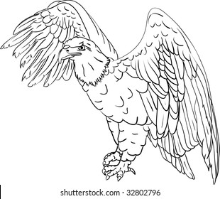 vector - bald eagle isolated on background