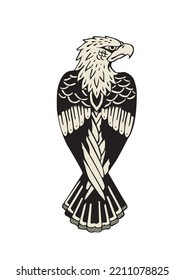Vector bald Eagle on a white background