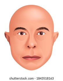 Vector bald man in graphic style