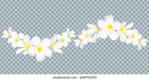 Vector Bali flowers border isolated on transparency grid background