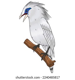 vector Bali starling in white with a combination of blue in the eyes