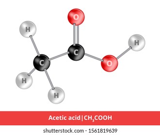 Vector ball-and-stick model of organic compound. Icon of acetic acid CH3COOH structure consisting of oxygen, hydrogen, carbon. Structural formula suitable for education isolated on a white background.