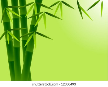 Vector Bamboo