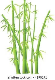 Vector bamboo