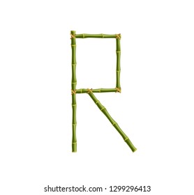 Vector bamboo alphabet. Capital letter R made of realistic green bamboo sticks poles isolated on white background. Abc concept for creating words, text, advertising, message.