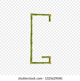 Vector bamboo alphabet. Capital letter G made of realistic green bamboo sticks poles isolated on transparent background. Abc concept for creating words, text, advertising, message.