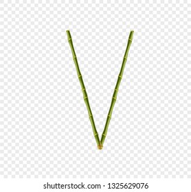 Vector bamboo alphabet. Capital letter V made of realistic green bamboo sticks poles isolated on transparent background. Abc concept for creating words, text, advertising, message.