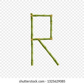 Vector bamboo alphabet. Capital letter R made of realistic green bamboo sticks poles isolated on transparent background. Abc concept for creating words, text, advertising, message.