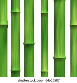Vector Bamboo Background