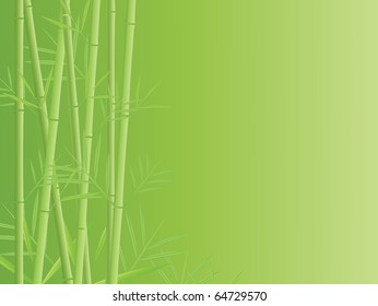 vector bamboo background