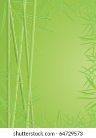 vector bamboo background