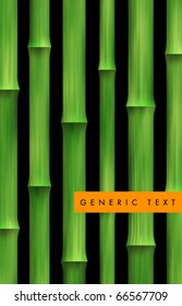 Vector Bamboo Background
