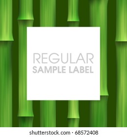 Vector Bamboo Background