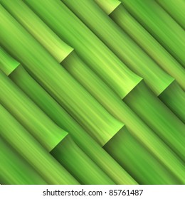 vector bamboo background