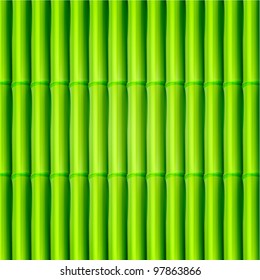 Vector bamboo background. Eps10