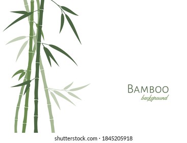 Vector bamboo background with green bamboo stems and leaves. Isolated on white, place for text, copyspace. Oriental art stylization