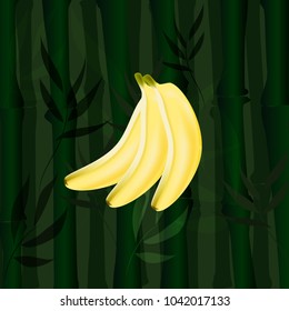 Vector bamboo banana 