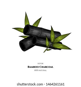 Vector bamboo charcoal. Hand drawn. Vintage style