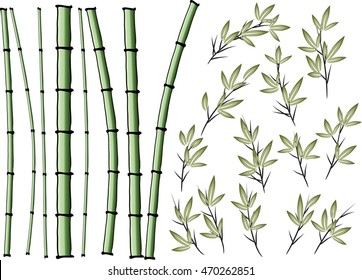 vector Bamboo design