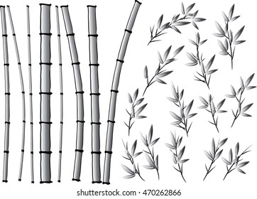 vector Bamboo design