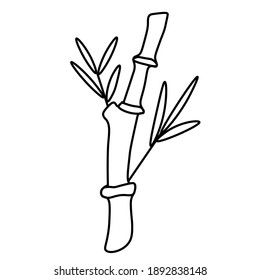 Vector bamboo in doodle style.One simple plant.Illustration grass for Chinese New Year with black line hand drawn.Design for menus,cards,stickers,prints,social networks,web.  