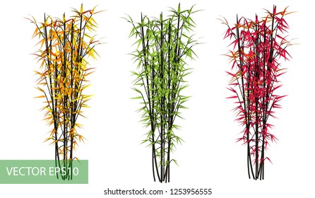 Vector bamboo green yellow red