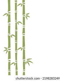Vector bamboo illustration on white background