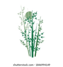 vector bamboo, deja ilustración para animación, interfaz de usuario de sitios web y uso de diferentes medios sociales  