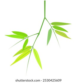 folhas de bambu vetorial sobre fundo branco