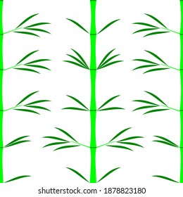 vector with bamboo motif to give coolness to the eyes and mind