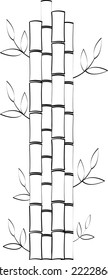 Vector Bamboo shoot black and white illustration