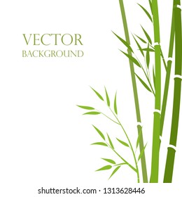 Vector, bamboo stalks abstract style on a white background. . Exotic background. Garden background, oriental garden.