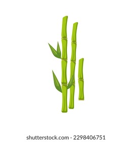 Vector bamboo sticks with leaves. Cartoon illustration isolated on white background. 