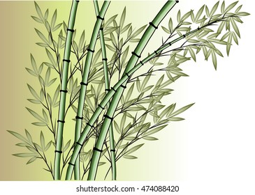 vector bamboo tree