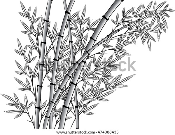 Vector Bamboo Tree Stock Vector (Royalty Free) 474088435