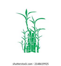 Vector bamboo tree in flat style