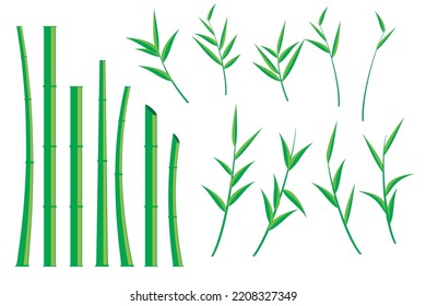 Vector bamboo tree. Illustration of a bamboo tree on a white background. isolated bamboo tree