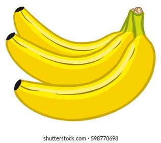 Vector banana. Bunch of banana fruits isolated on white background.