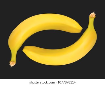 Vector Banana Bunch on the Black Background. Delicious Tropical Fruits. Realistic Yellow Bananas for Wallpaper, Packaging, Paper, Tablecloth, Tile, Advertising, Marketing, Illustration.