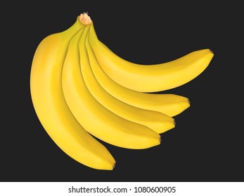 Vector Banana Bunch on the Black Background. Delicious Tropical Fruits. Realistic Yellow Bananas for Wallpaper, Packaging, Paper, Tablecloth, Tile, Advertising, Marketing, Illustration.