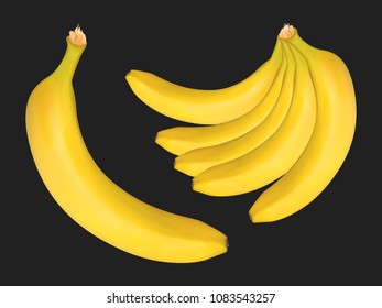 Vector Banana Bunch on the Black Background. Delicious Tropical Fruits. Realistic Yellow Bananas for Wallpaper, Packaging, Paper, Tablecloth, Tile, Advertising, Marketing, Illustration.