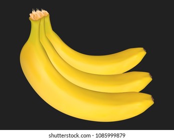 Vector Banana Bunch on the Black Background. Delicious Tropical Fruits. Realistic Yellow Bananas for Wallpaper, Packaging, Paper, Tablecloth, Tile, Advertising, Marketing, Illustration.