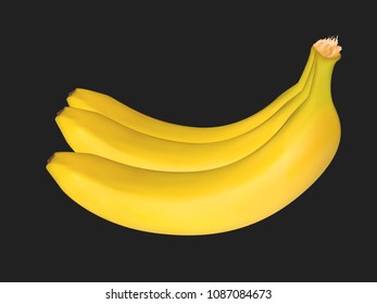 Vector Banana Bunch on the Black Background. Delicious Tropical Fruits. Realistic Yellow Bananas for Wallpaper, Packaging, Paper, Tablecloth, Tile, Advertising, Marketing, Illustration.